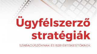 Ügyfélszerző stratégiák, B2B sales