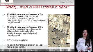 Bírság, Nemzeti Adatvédelmi és Információszabadság Hatóság (NAIH)